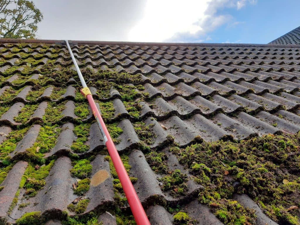 Softwashing and Exterior Cleaning - Look New Cleaning Service